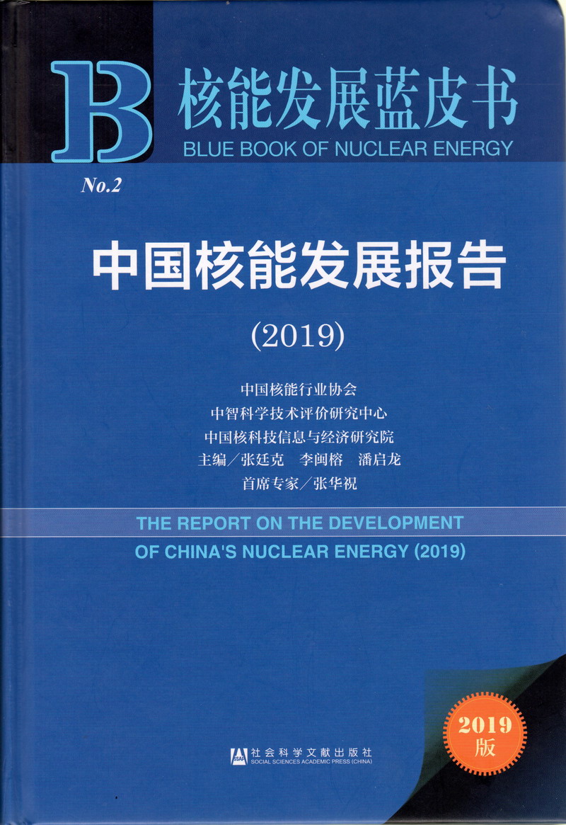 啊啊啊不要插了逼逼要烂了啊啊啊不要射进去啊啊啊视频中国核能发展报告（2019）